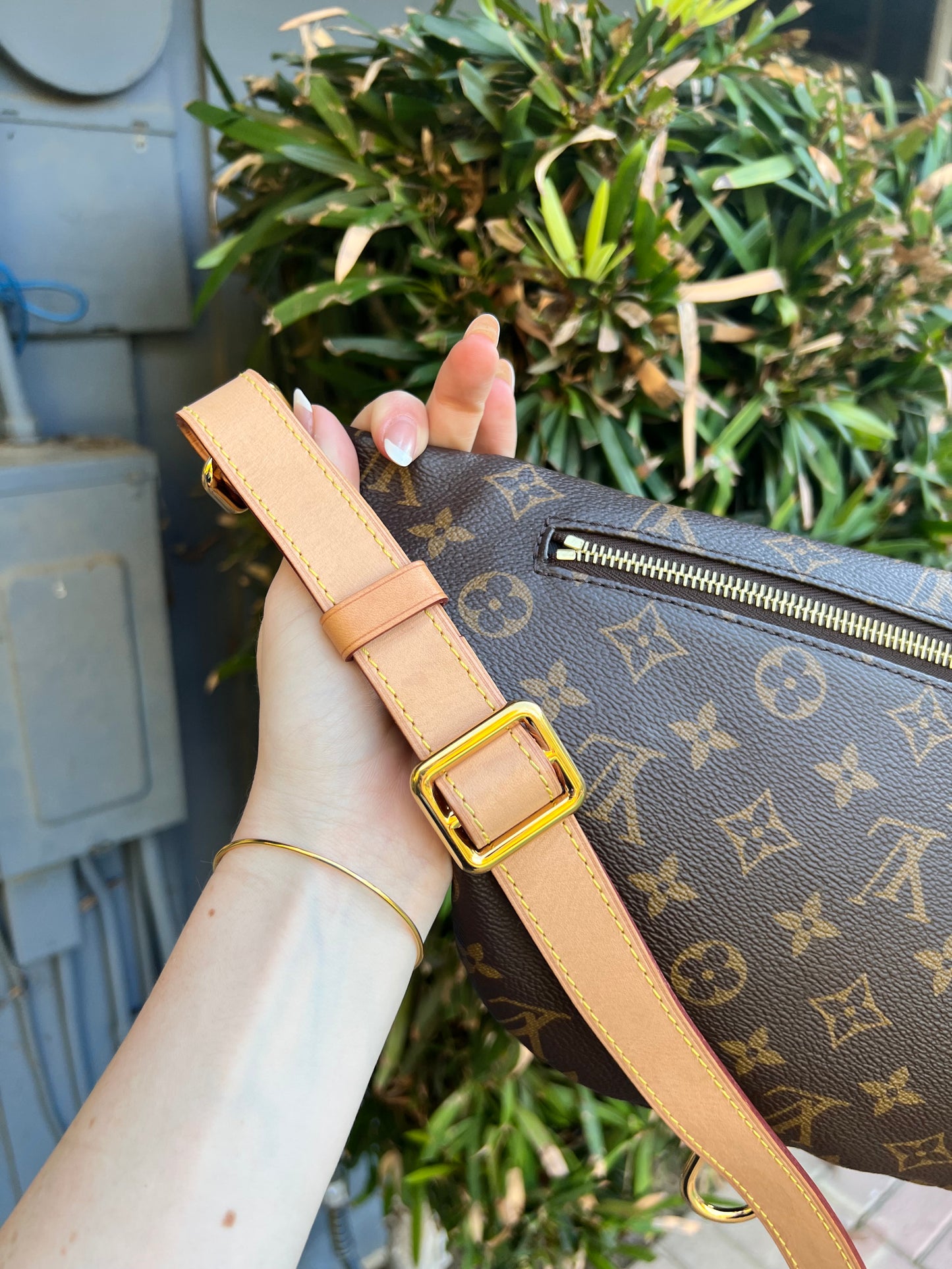 Louis Vuitton monogram bumbag