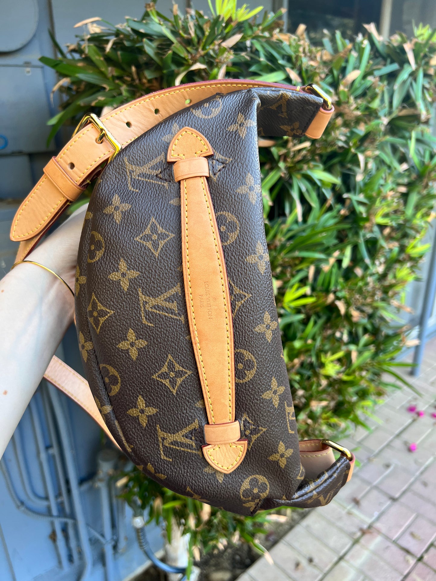 Louis Vuitton monogram bumbag