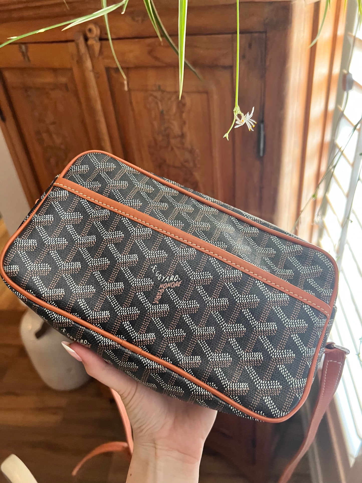 Goyard cap sac vert camera crossbody bag