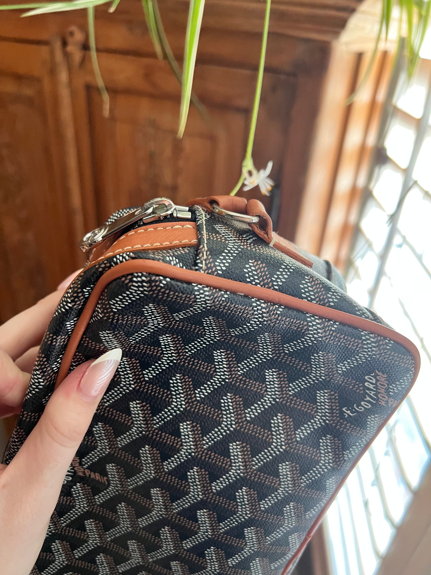 Goyard cap sac vert camera crossbody bag