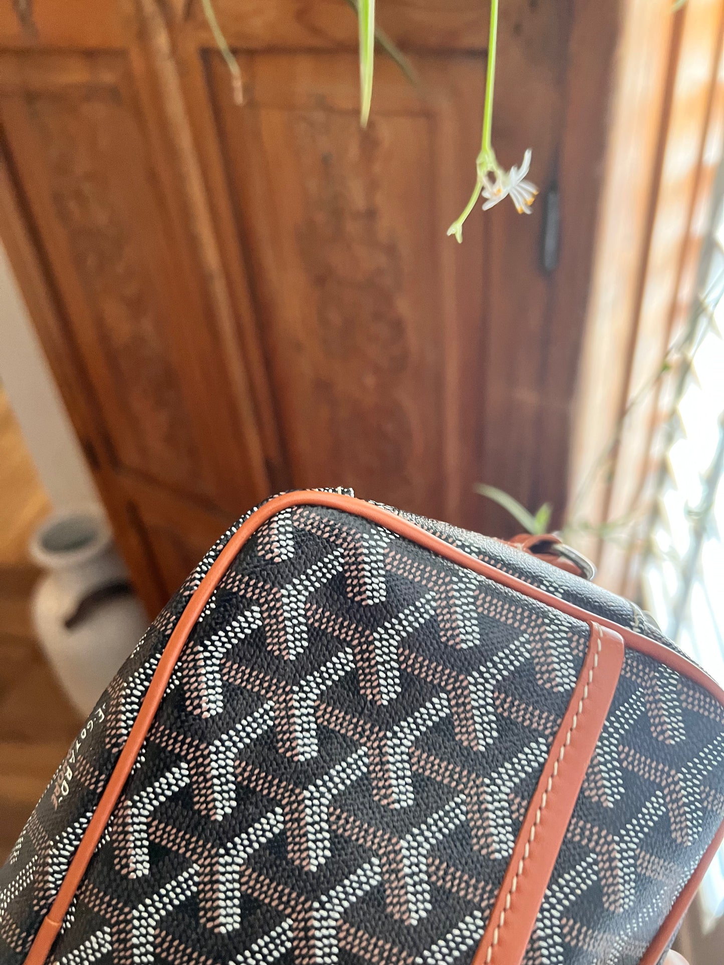 Goyard cap sac vert camera crossbody bag
