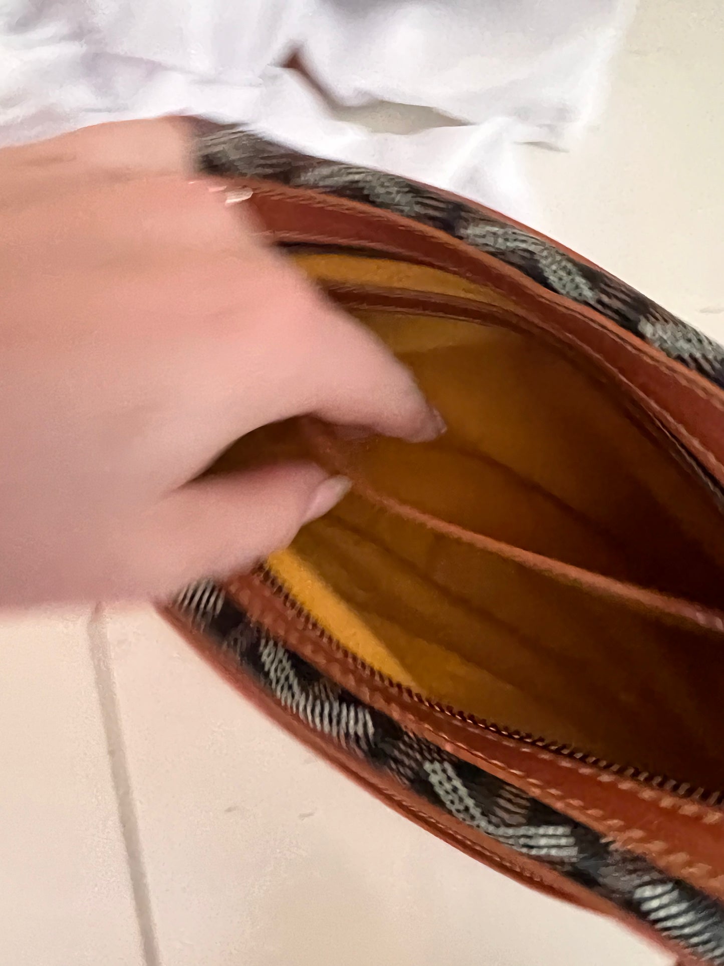 Goyard cap sac vert camera crossbody bag