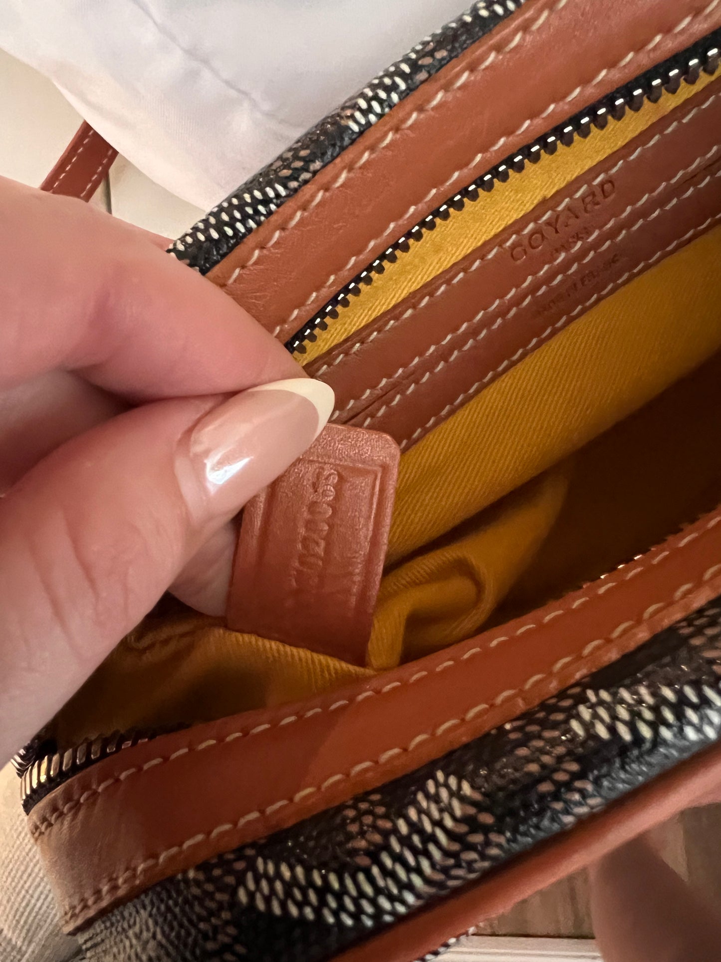 Goyard cap sac vert camera crossbody bag