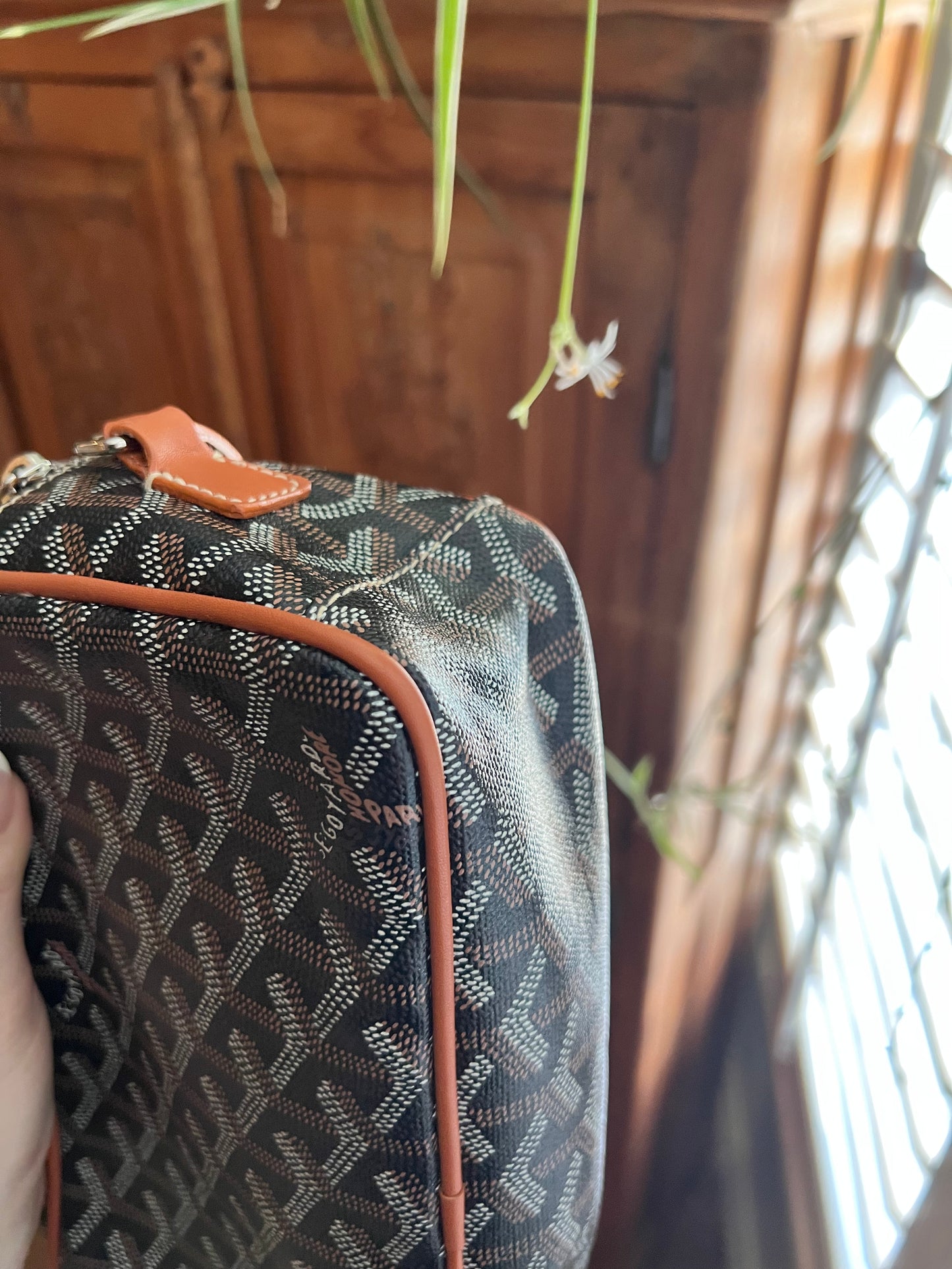 Goyard cap sac vert camera crossbody bag
