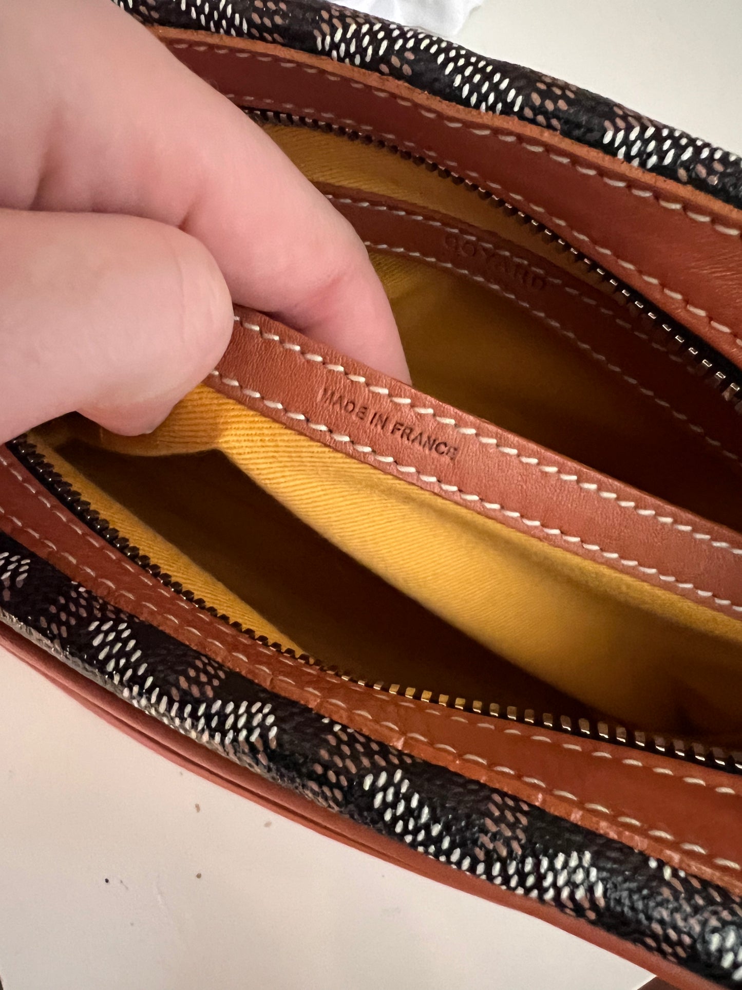 Goyard cap sac vert camera crossbody bag