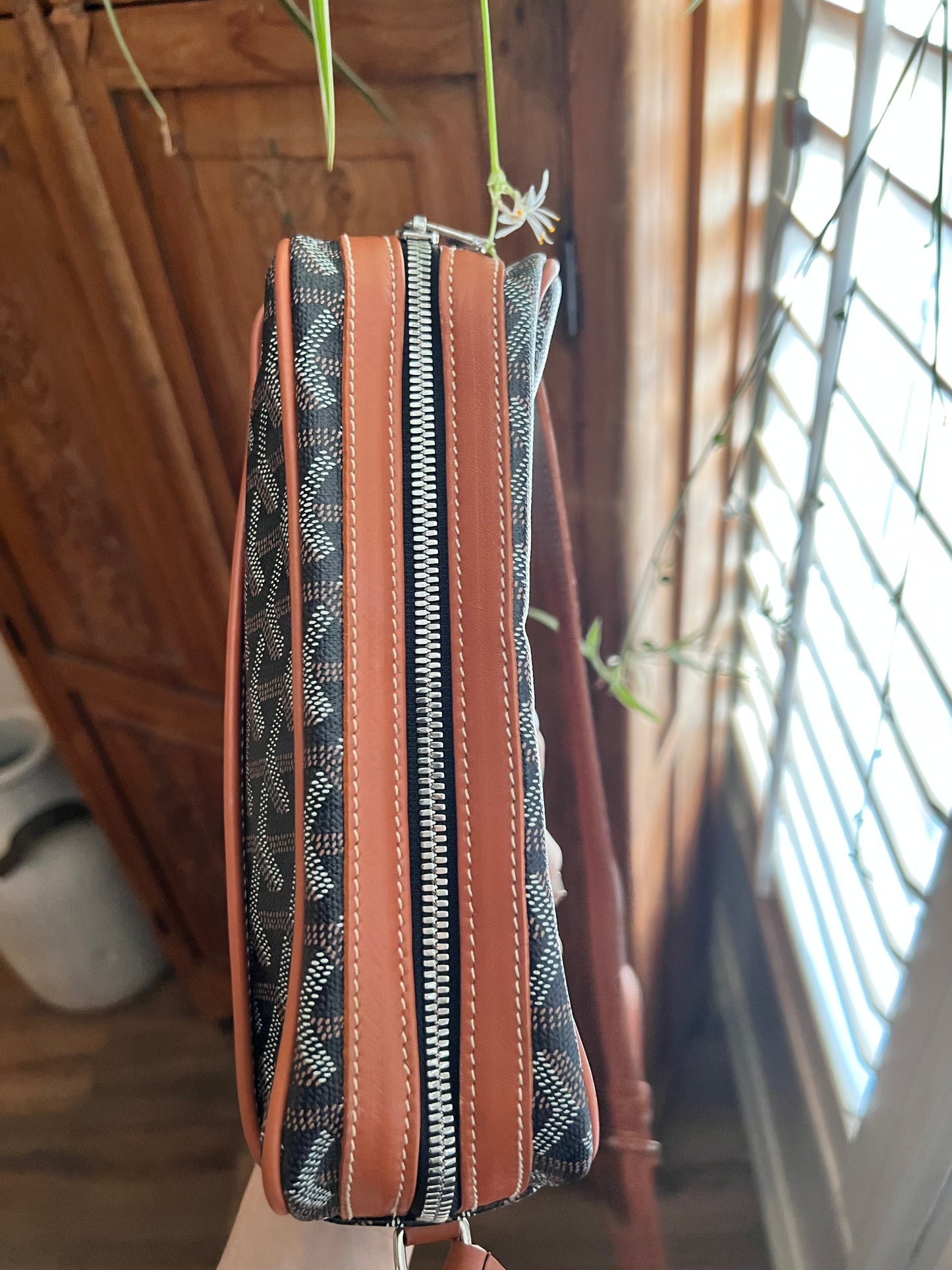 Goyard cap sac vert camera crossbody bag