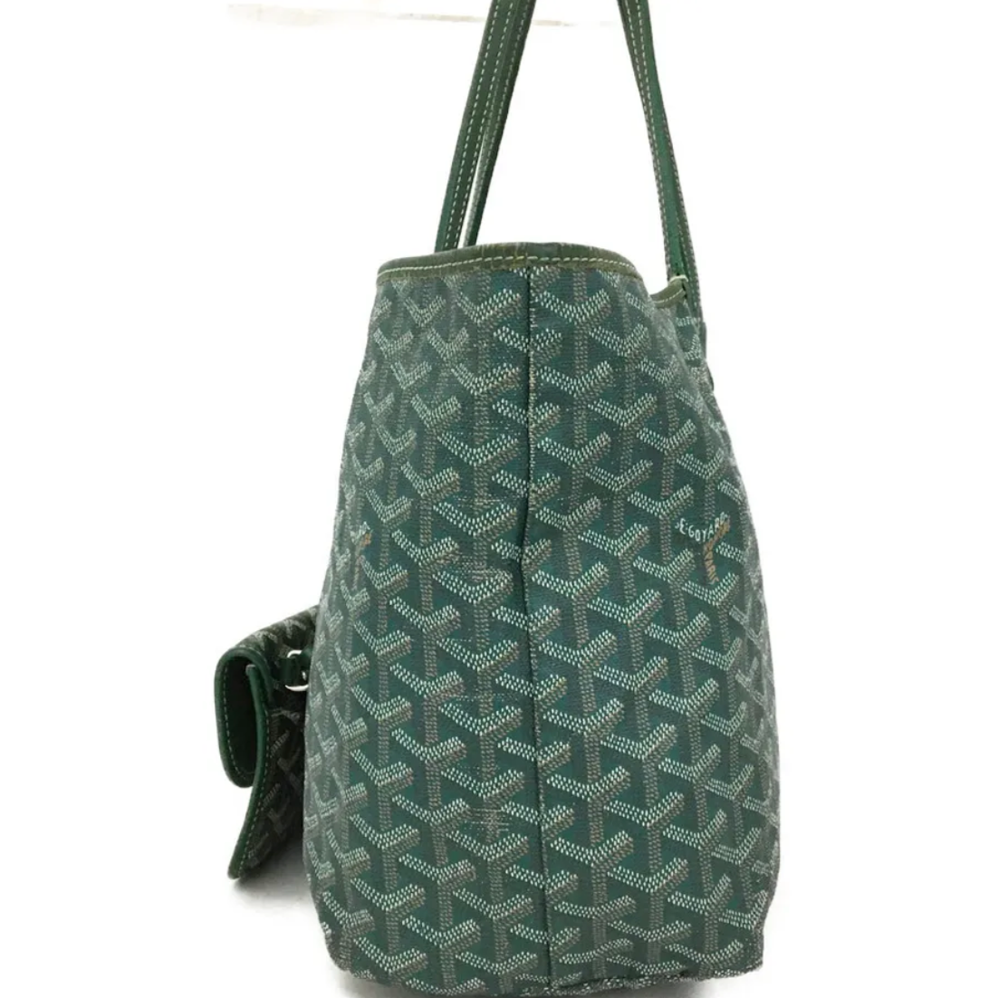 Goyard Goyardine Saint Louis PM Green
