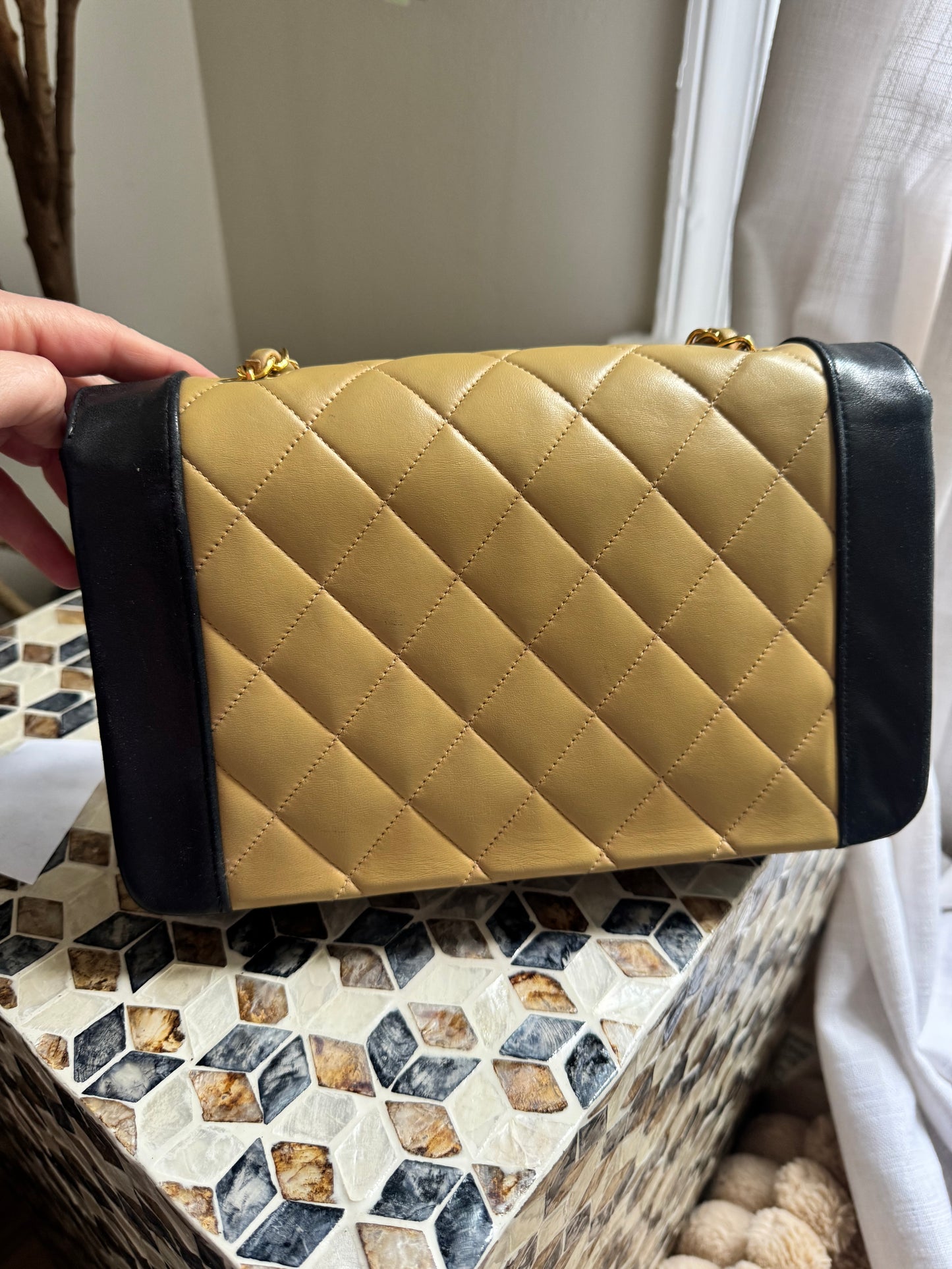 Chanel Lambskin Two Tone Medium Diana Flap Bag