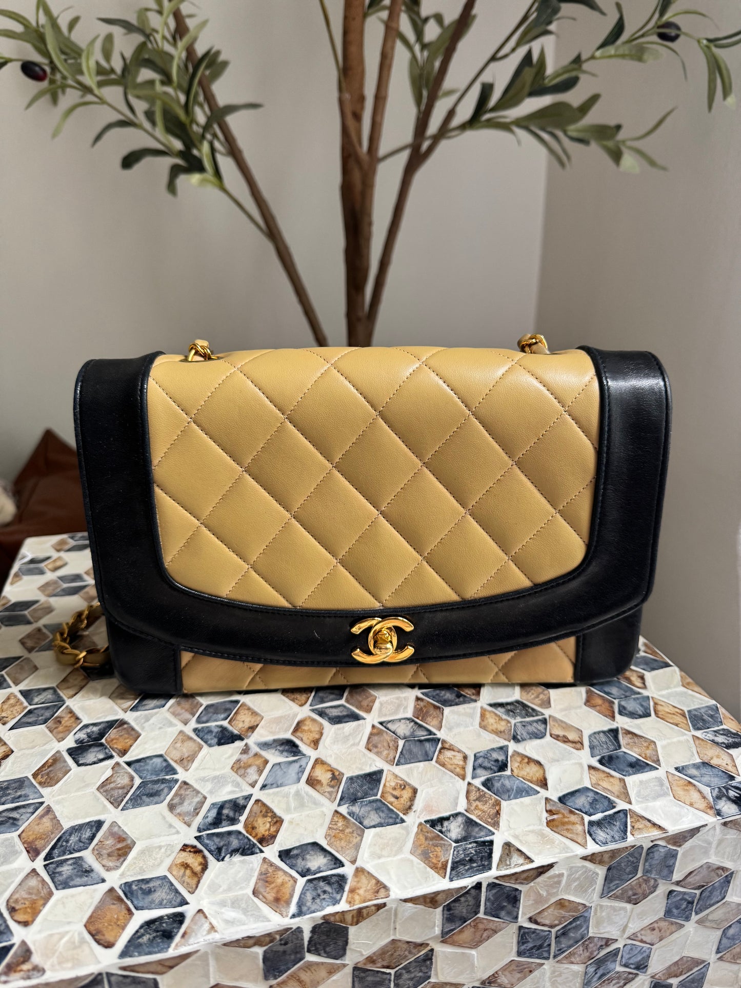 Chanel Lambskin Two Tone Medium Diana Flap Bag