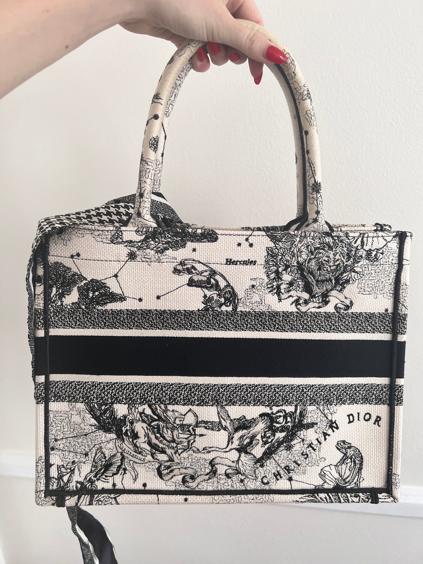 Christian Dior medium zodiac book tote with twilly