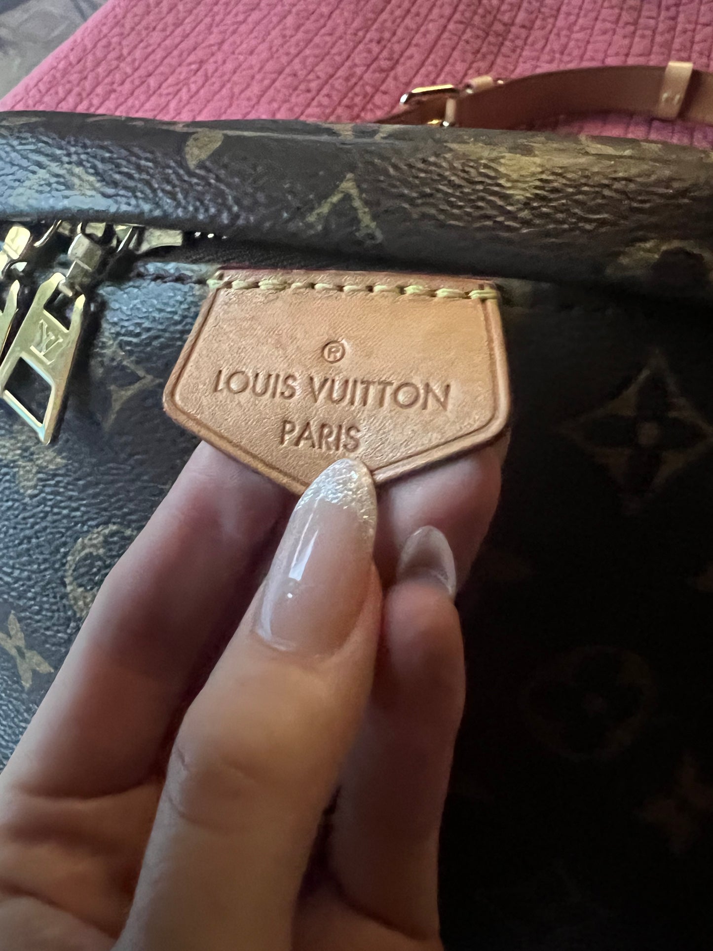 Louis Vuitton monogram bumbag