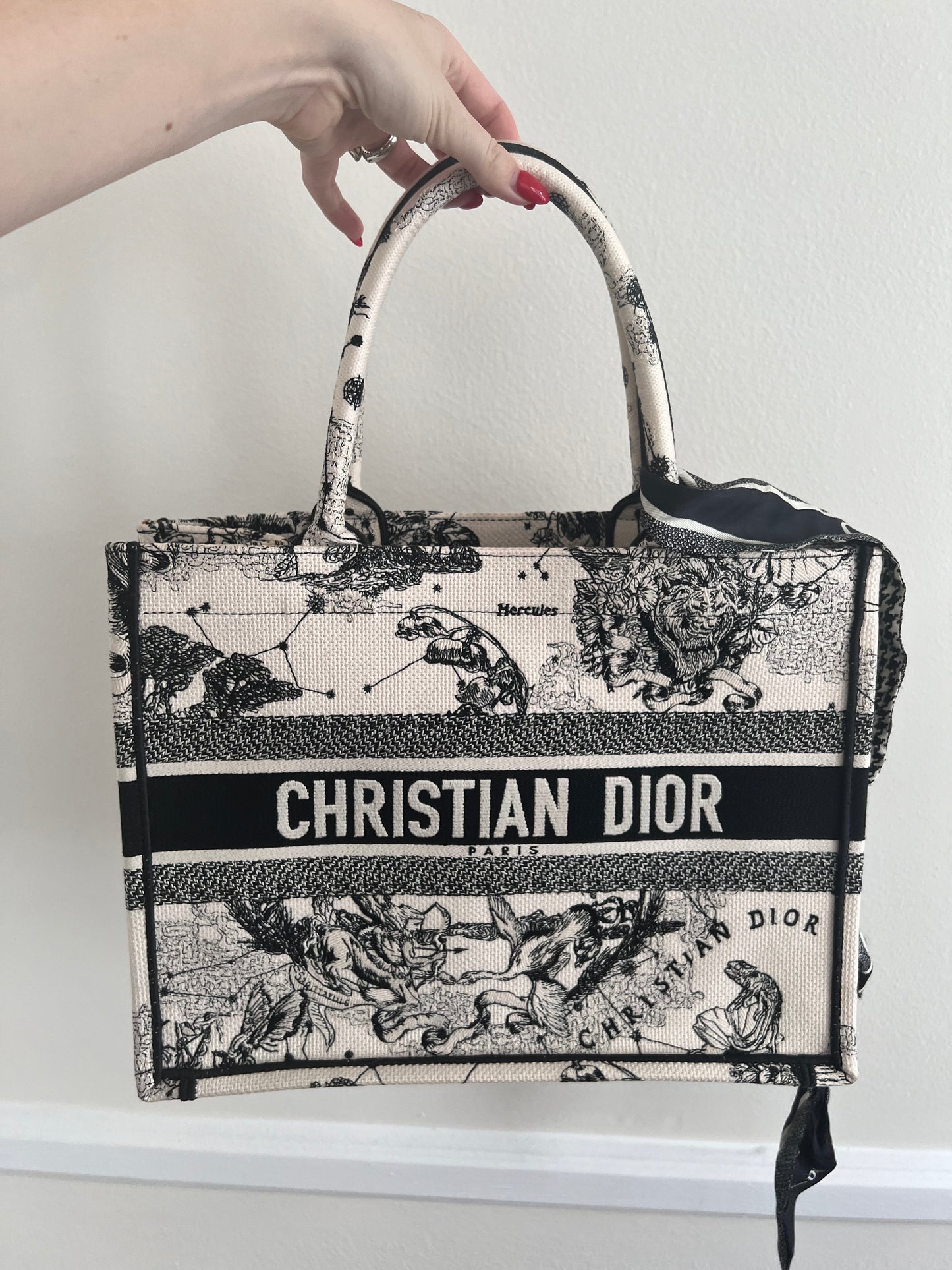 Christian Dior medium zodiac book tote with twilly