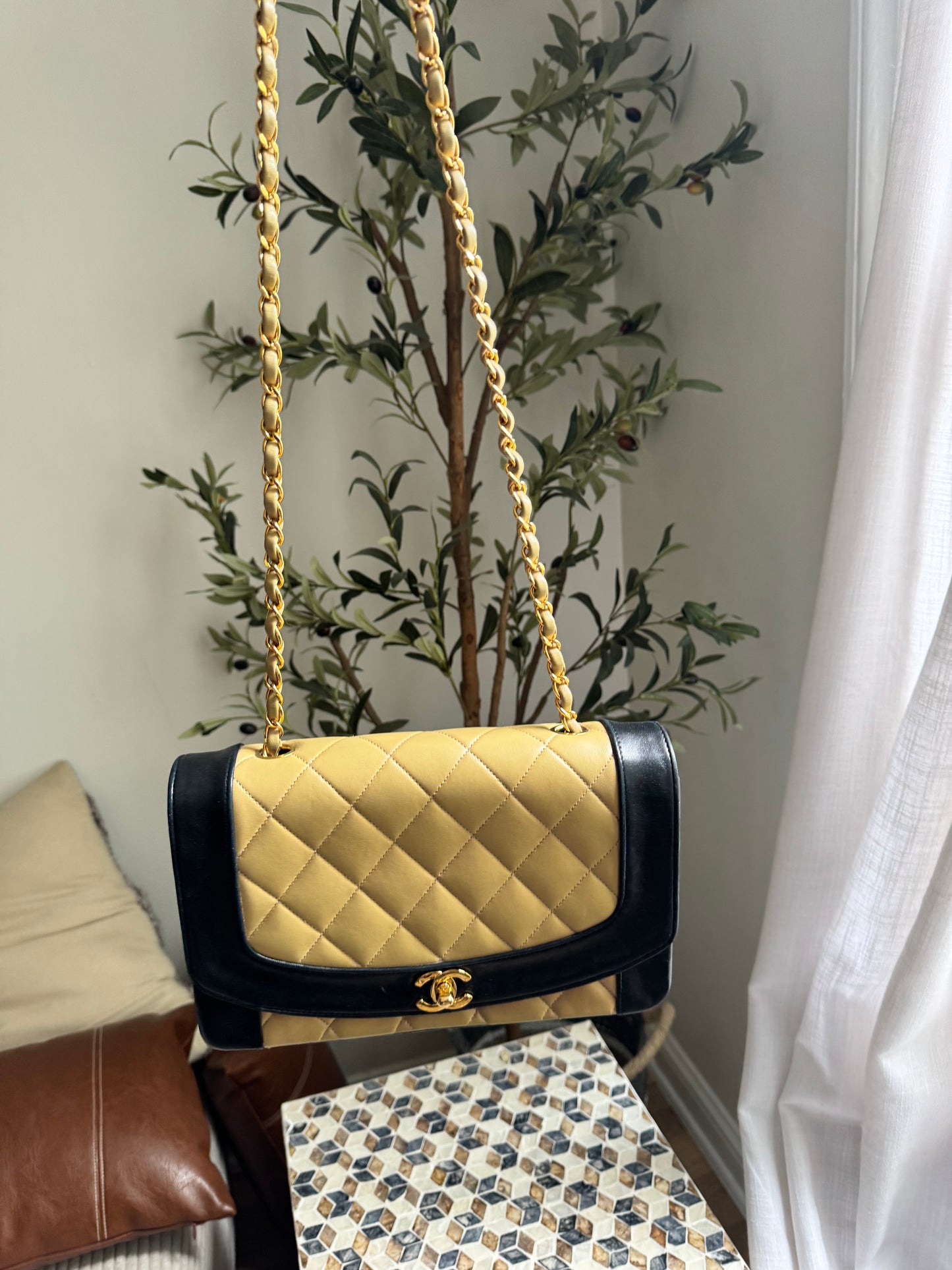 Chanel Lambskin Two Tone Medium Diana Flap Bag