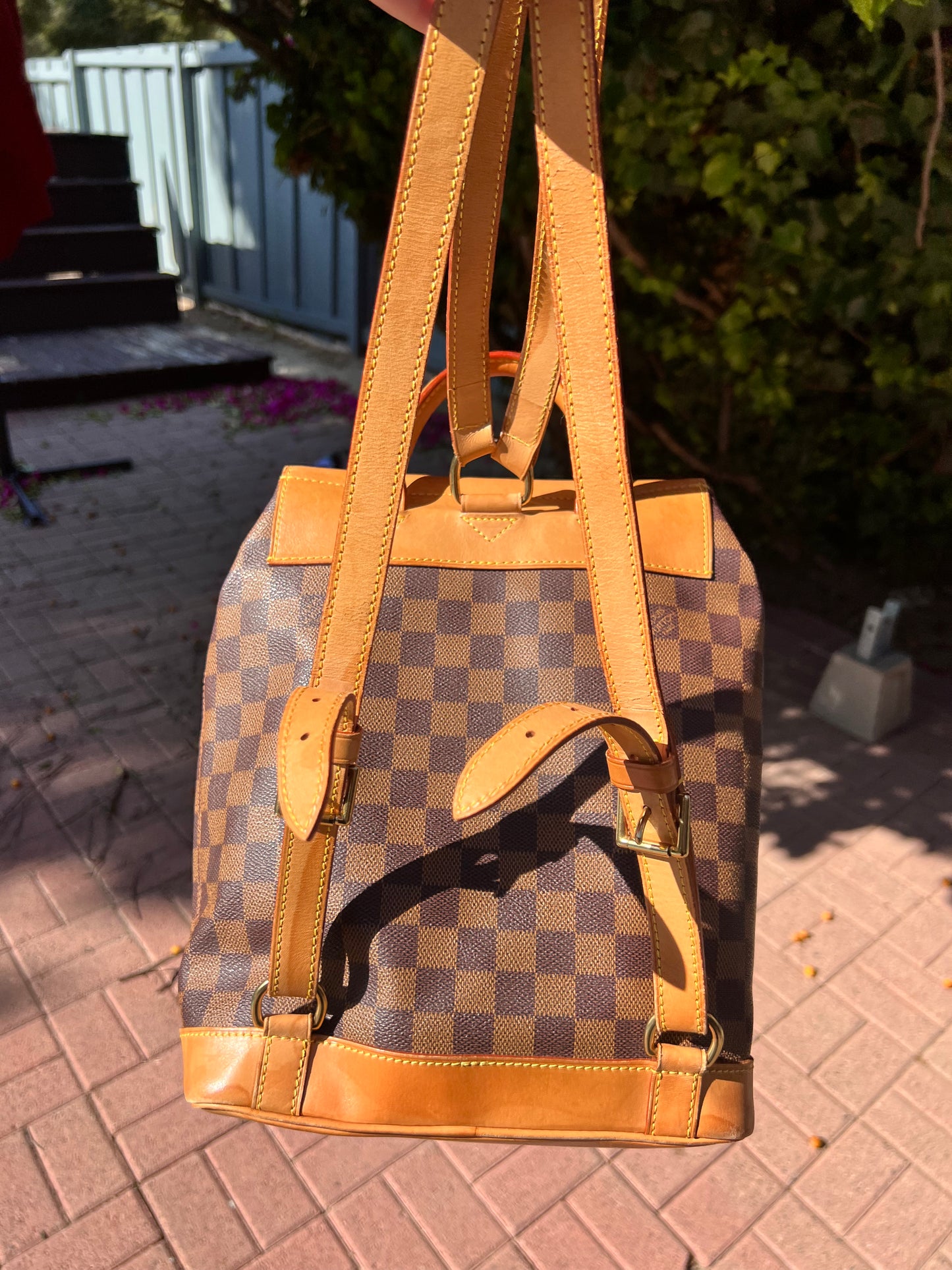 Louis Vuitton Damier Ebene soho backpack