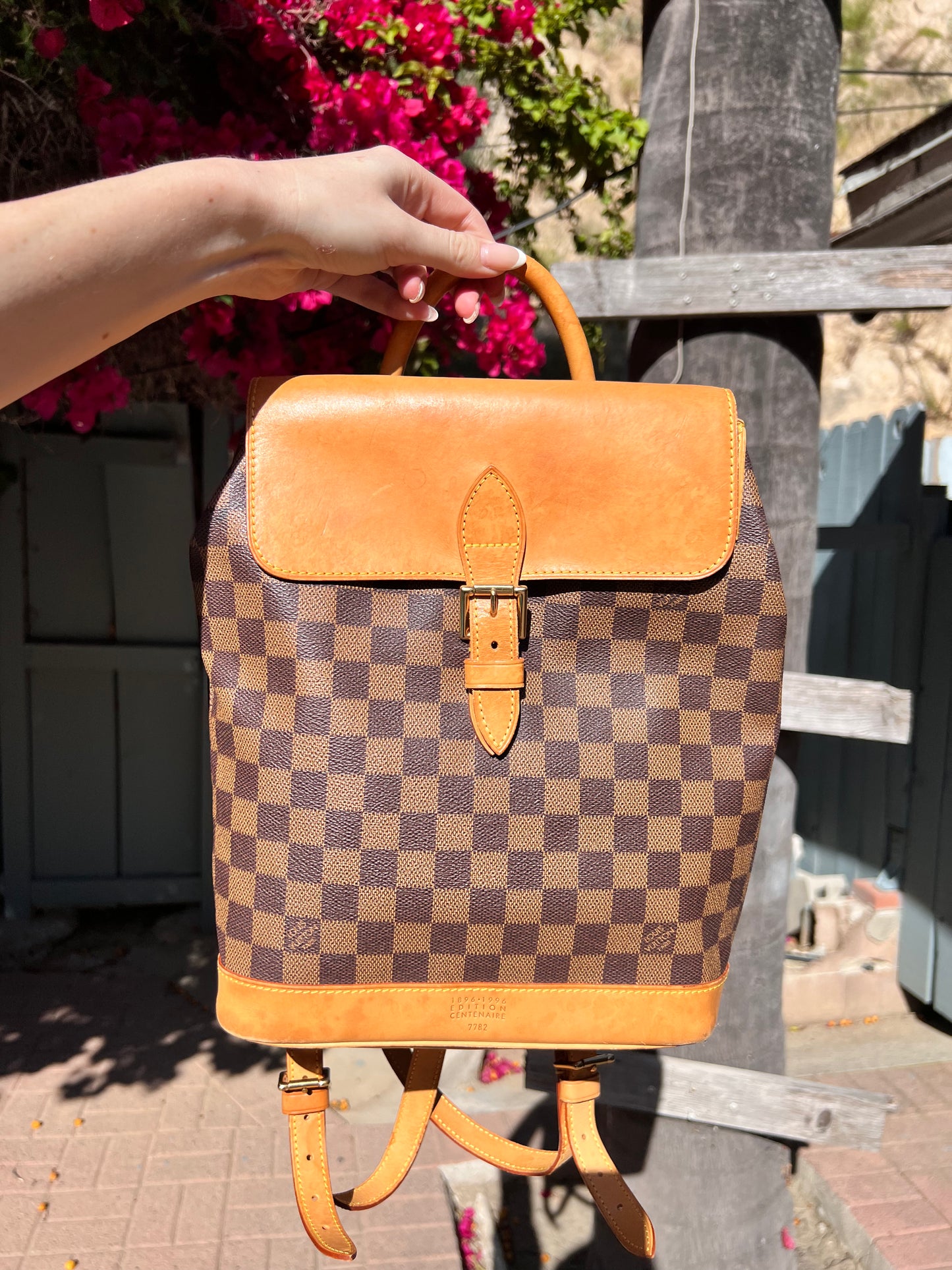 Louis Vuitton Damier Ebene soho backpack Bag Babes Boutique LLC