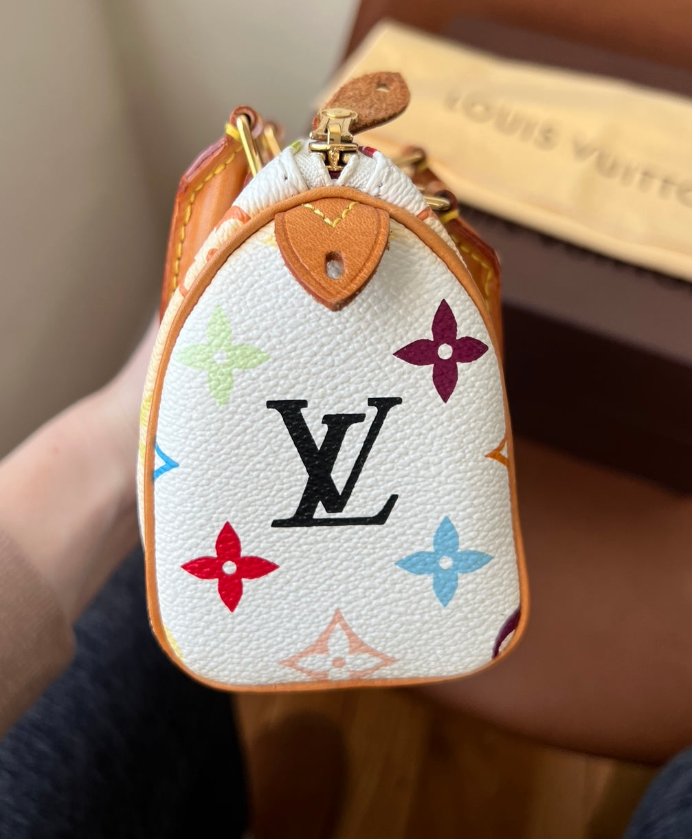 Mini multicolor best sale louis vuitton bag